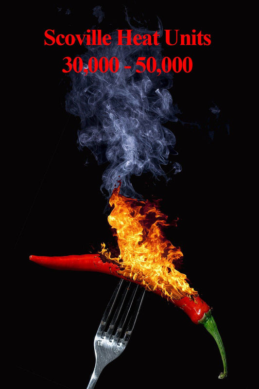 Flaming Tabasco Chili Pepper Plant on a fork with smoke, against a black background, indicating Scoville Heat Units.