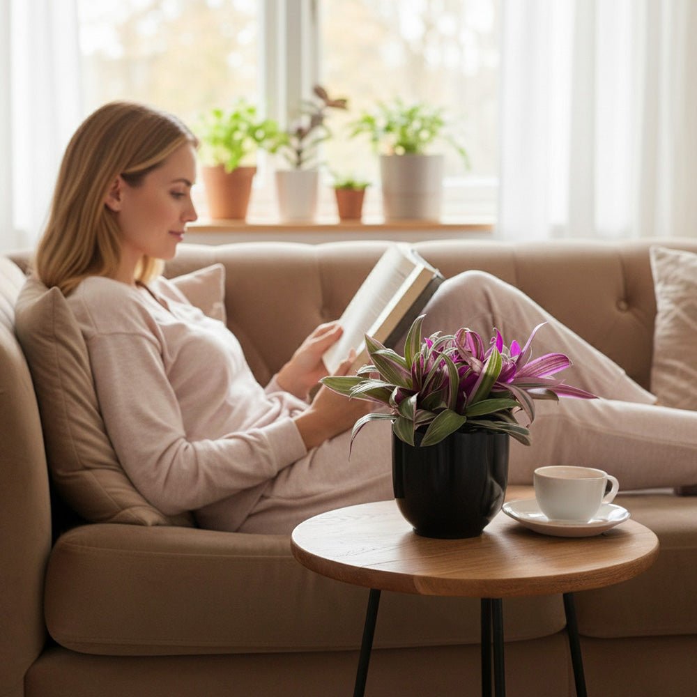 Woman reading a book on a couch with a small table holding a cup and Tradescantia Plant nearby.