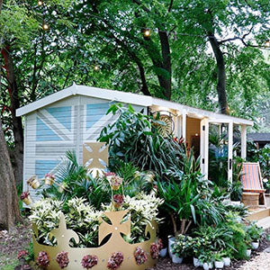 Tropical plants display at chelsea