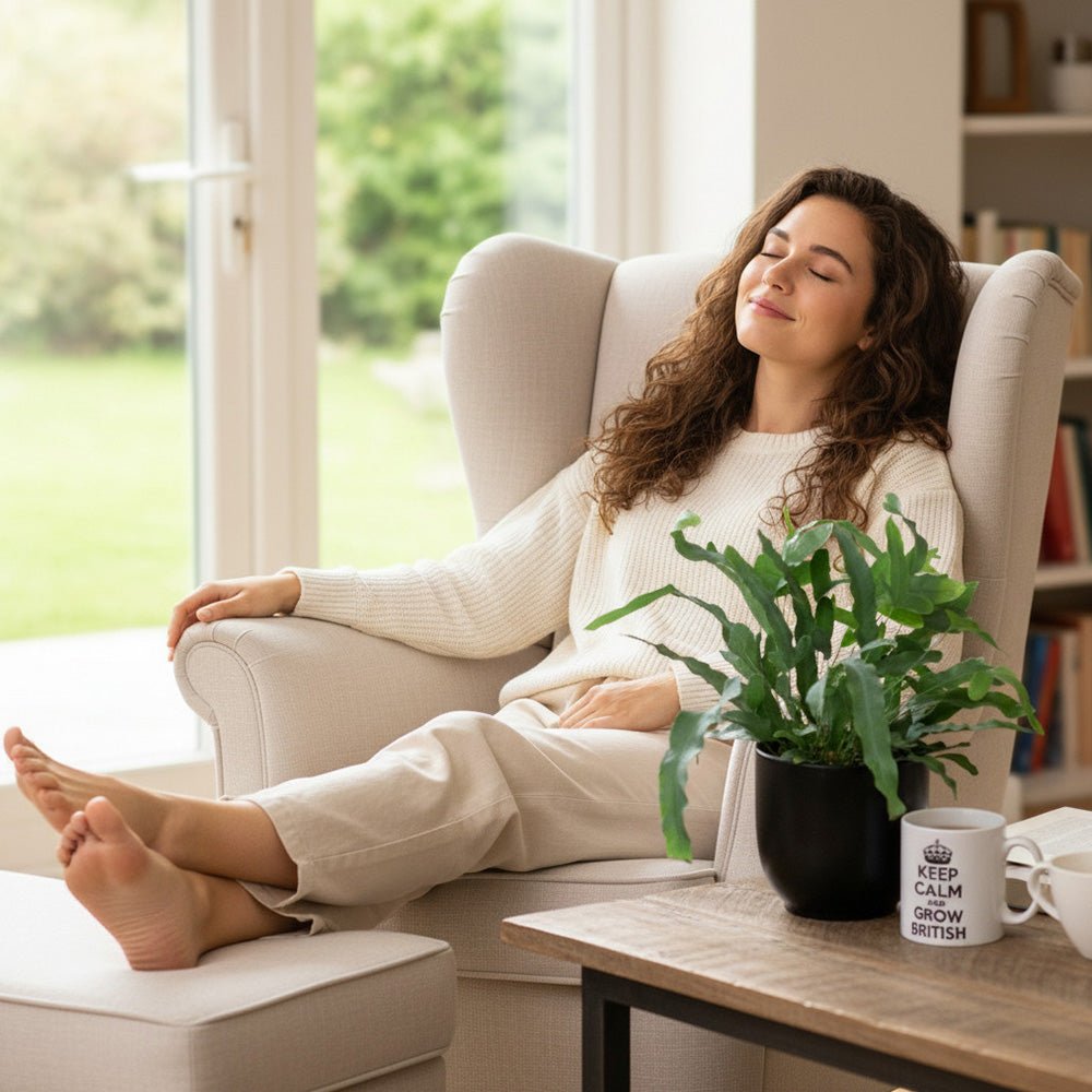 Woman relaxing in a chair with a Blue star fern and mug on a table