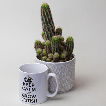 Cactus Plants in a pot with a mug labeled 'Keep Calm and Grow British' on a light background