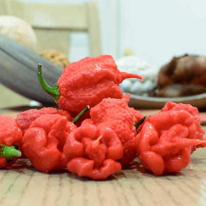 Carolina Reaper x 3 – World’s Hottest Chilli (10.5cm Pots)