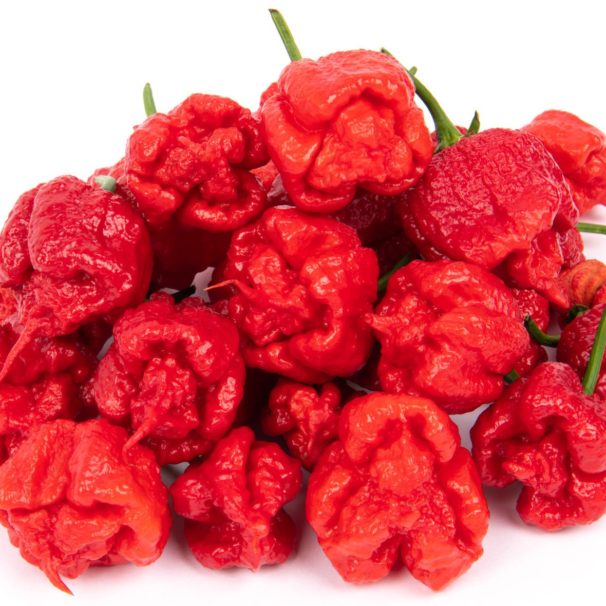 Pile of Carolina Reaper on a white background