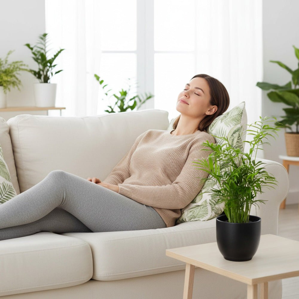 Chamaedorea Elegans Parlour Palm next to someone relaxing on a couch.