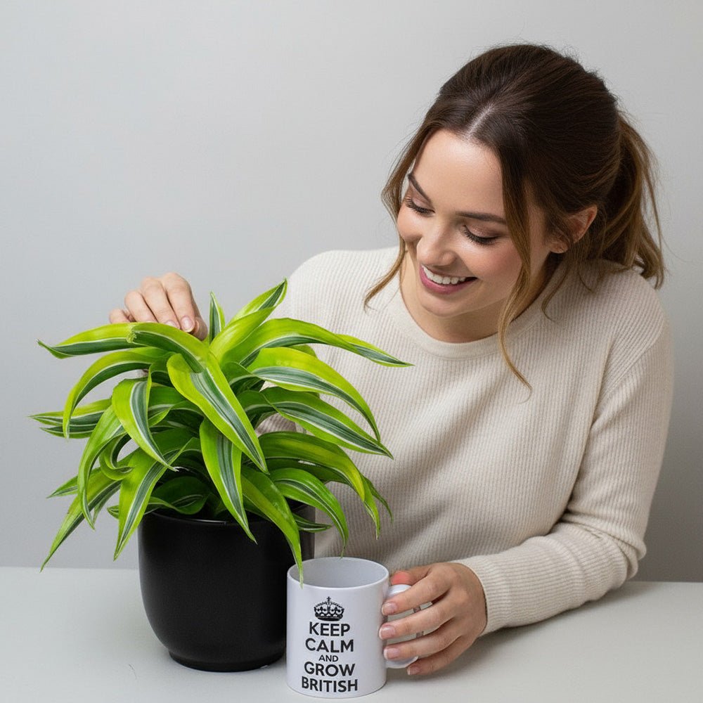 Woman holding a potted Dragon Tree plant and a mug with text, smiling against a plain background