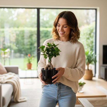 Woman holding a potted ficus ginseng plant in a living room