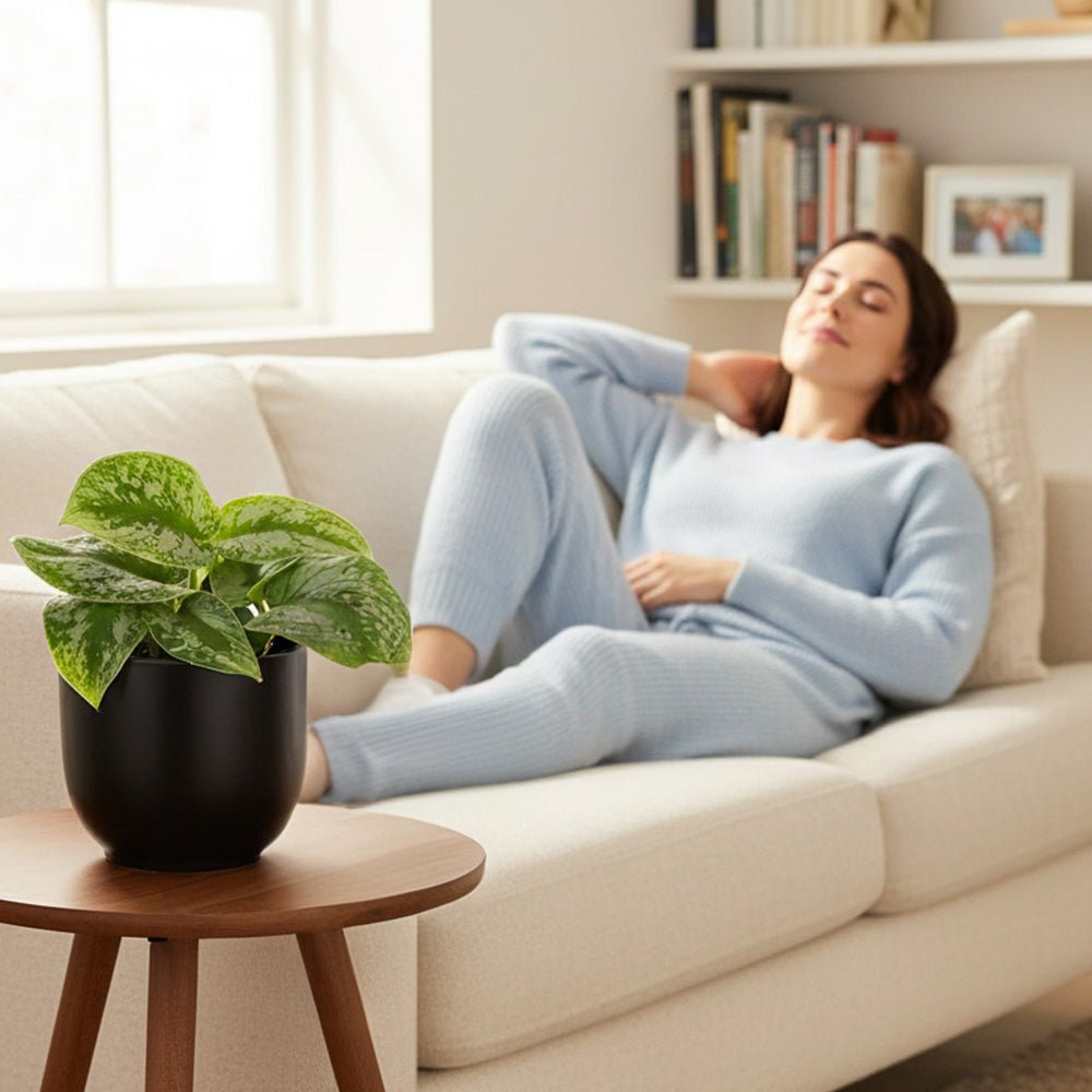Woman relaxing on a couch with a Satin Pothos on a side table
