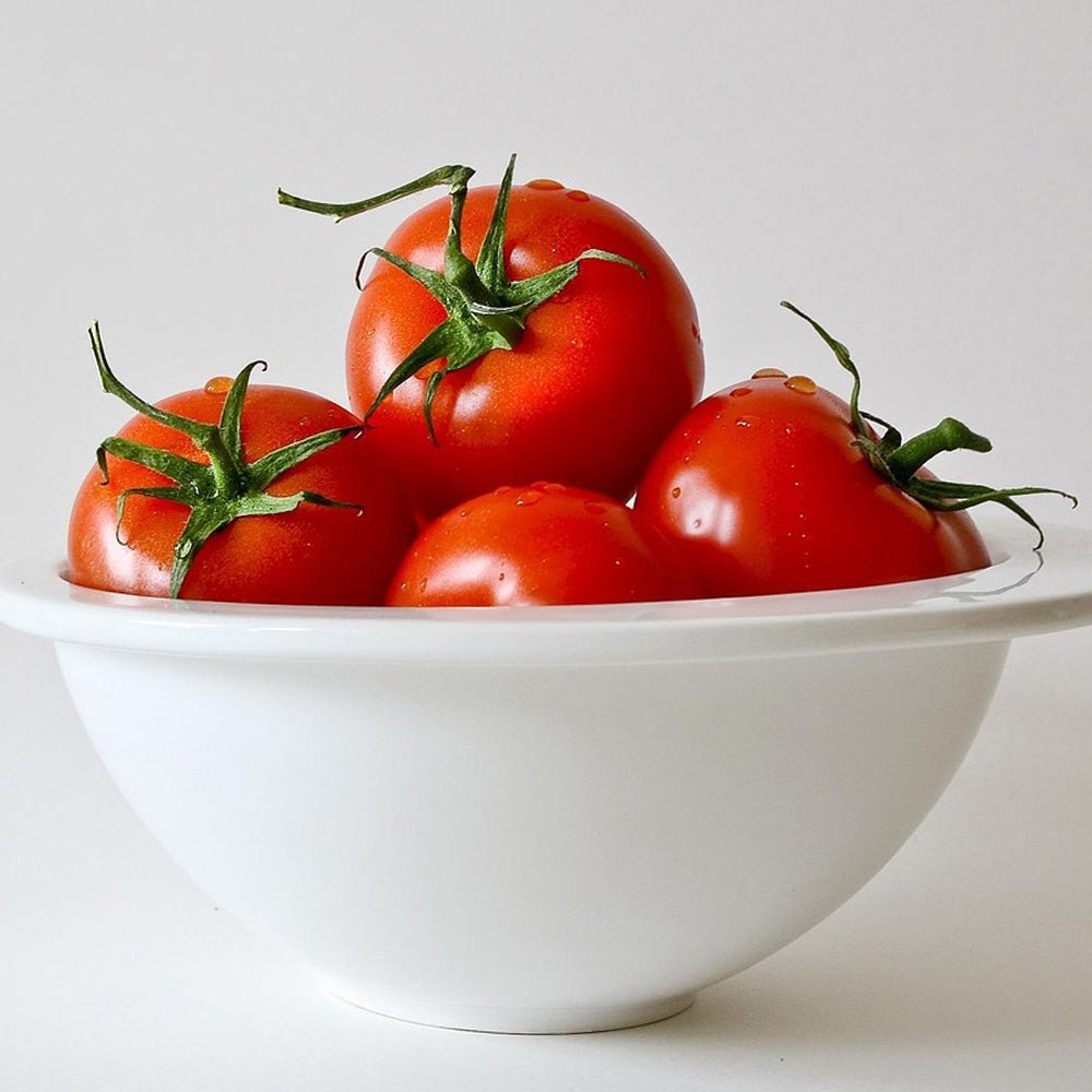 White bowl filled Tomato Plants F1 Pannovy on a white background