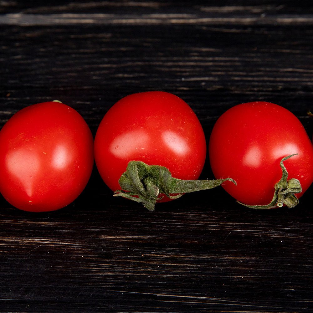 Three Tomato Plants F1 Santa Victoria on a dark wooden surface