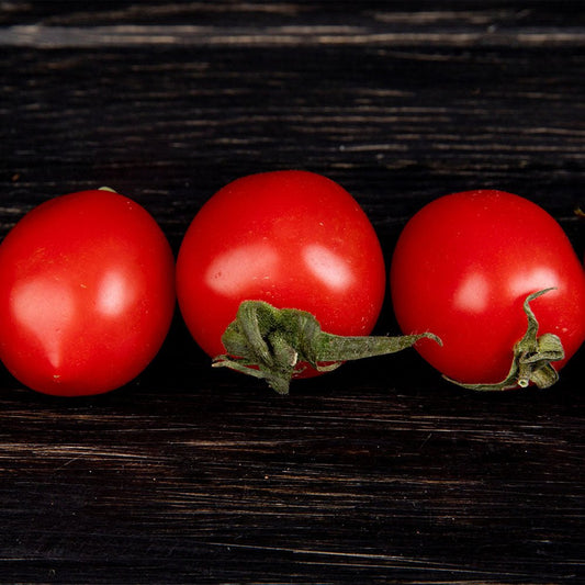 Three Tomato Plants F1 Santa Victoria on a dark wooden surface