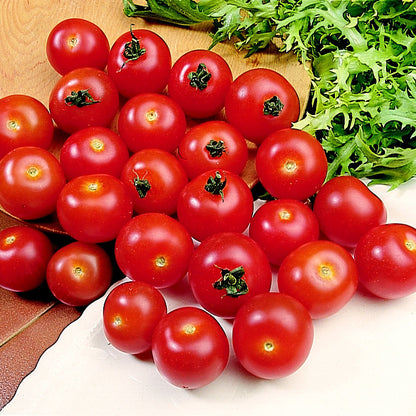 A pile of bright red cherry tomatoes harvested from Tomato Plants Gardeners Delight, arranged on a surface with fresh green salad leaves nearby