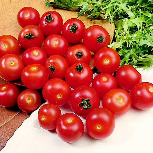 A pile of bright red cherry tomatoes harvested from Tomato Plants Gardeners Delight, arranged on a surface with fresh green salad leaves nearby