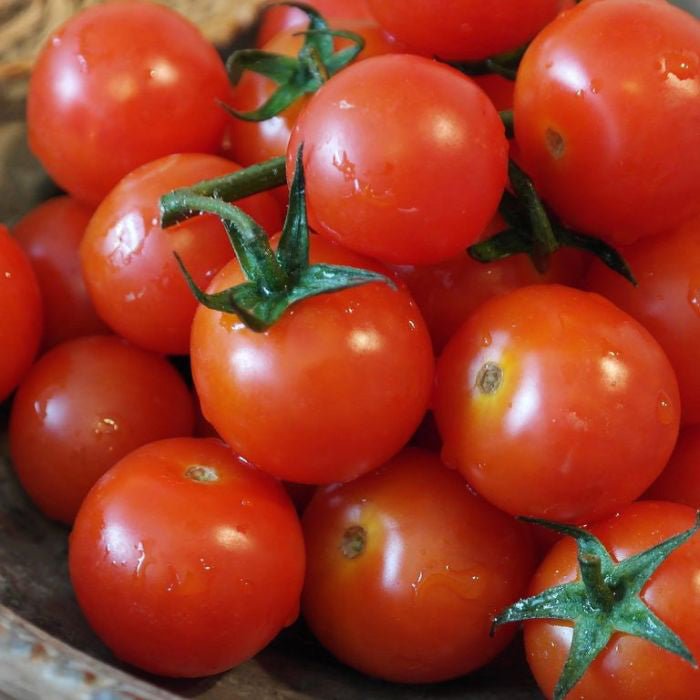 A bowl filled with freshly picked red cherry tomatoes from Tomato Plants Red Profusion, with some still attached to their green stems.