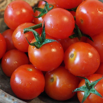 A bowl filled with freshly picked red cherry tomatoes from Tomato Plants Red Profusion, with some still attached to their green stems.