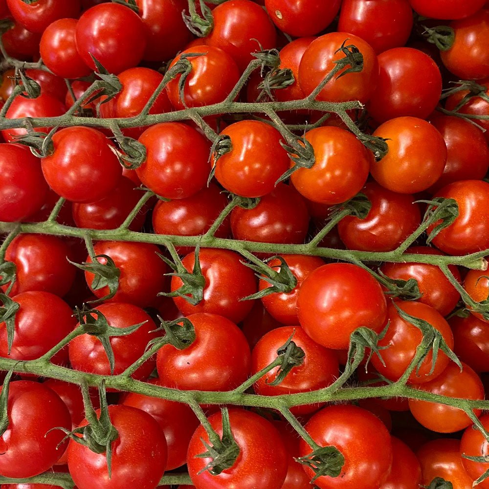 Close-up of Tomato Plants Sweet Million on green vines