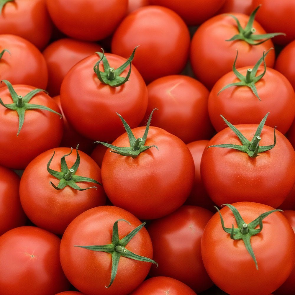 Close-up of a pile of Tomato Plants Sweet Million with green stems.