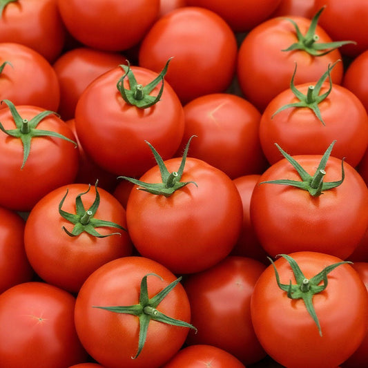 Close-up of a pile of Tomato Plants Sweet Million with green stems.