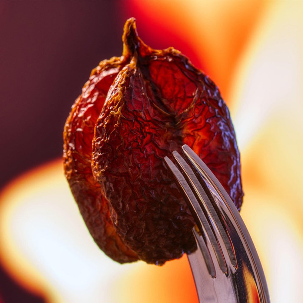 Dried Trinidad Scorpion Chili Pepper on a fork against a blurred background.