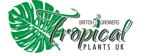 Tropical Plants UK